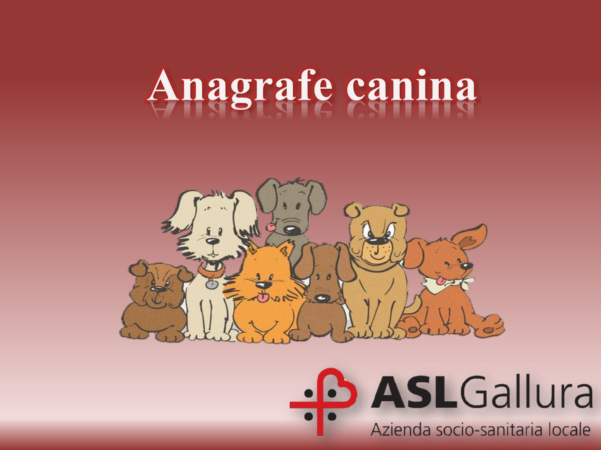 Anagrafe canina mese di Novembre